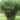 houseplants can help clean indoor air pollution