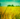 wheat, eggs and dairy, allergies and intolerance