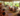 yoga retreats in Bali
