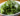 10 health benefits of eating kale