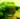 What is detox?