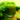 What is detox?