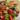 plant-based diet nutrition