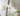 some light on bach flower remedies