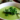 raw vegan kale soup