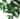 neem