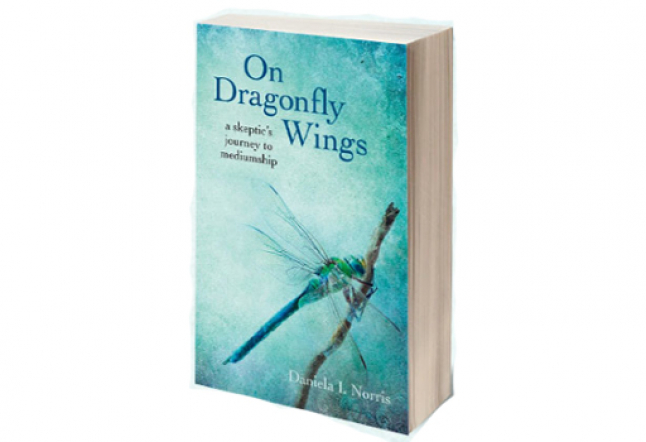 on dragonfly wings