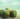 properties and benefits of coconut water