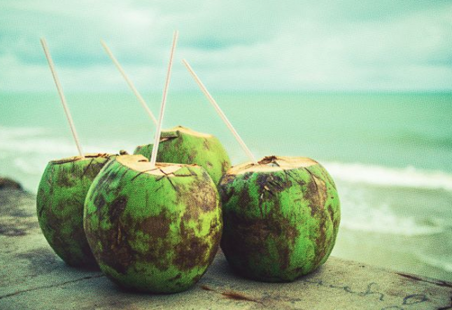 properties and benefits of coconut water