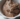raw chocolate ice cream