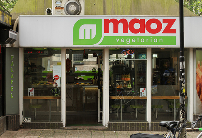 maoz falafel