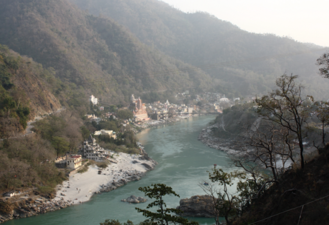 200 hour teacher training in rishikesh, india.