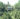 ubud yoga centre
