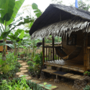 bahay kalipay raw food & yoga retreat house