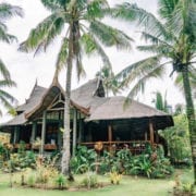 lotus shores siargao