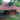 dune alaya yoga retreat