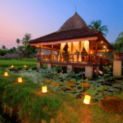 wapa di ume - ubud resort and spa