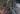 Eternal Banyan Tree Bali symbolism yoga meaning near me what is vad