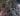 Eternal Banyan Tree Bali symbolism yoga meaning near me what is vad