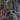 Eternal Banyan Tree Bali symbolism yoga meaning near me what is vad