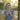 interview with J.Brown, global yoga teacher, writer and podcaster