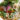 vegan vietnamese pho