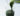 chlorophyll water, a must-have wonder drink