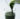 chlorophyll water, a must-have wonder drink