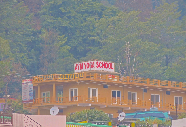 AYM yoga teacher training