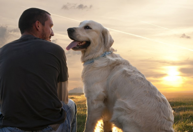 man's best friend