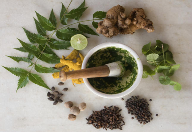 ayurvedic approaches to preventing alzheimer’s