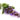 the spiritual benefits of clary sage