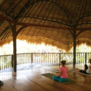 green school yoga studio