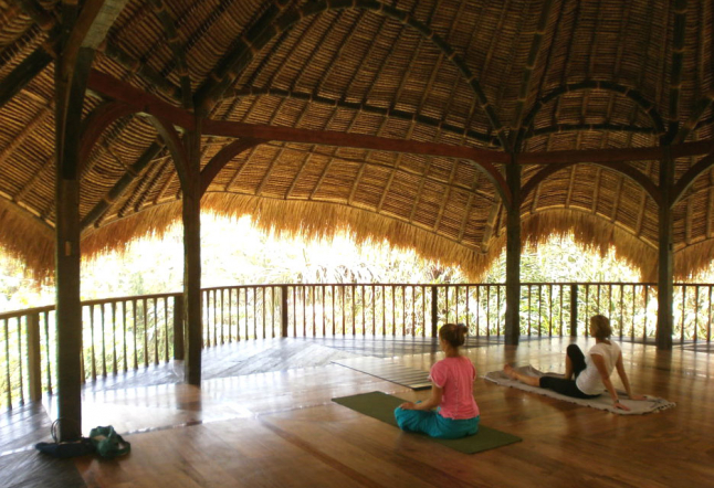 green school yoga studio