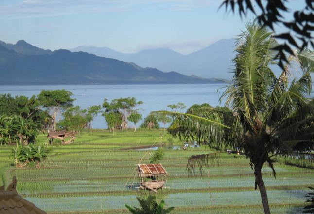 retreat center north bali coast