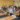 ananda yoga dubai