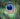 August 28 New Moon Asana