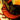 October 26 New Moon Asana