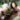 interview with malaika danville - planting change in bali