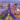 french playground by putumayo kids