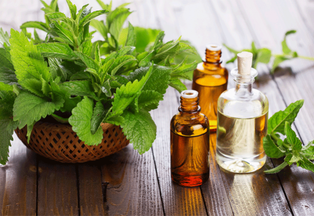 all about patchouli oil