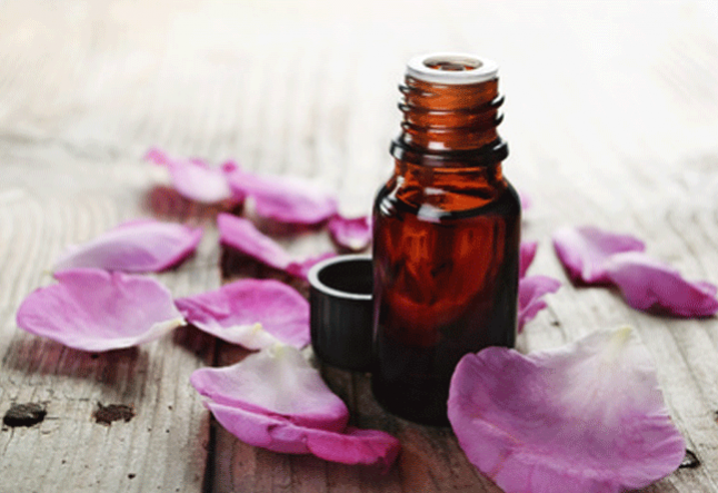 all about rose oil