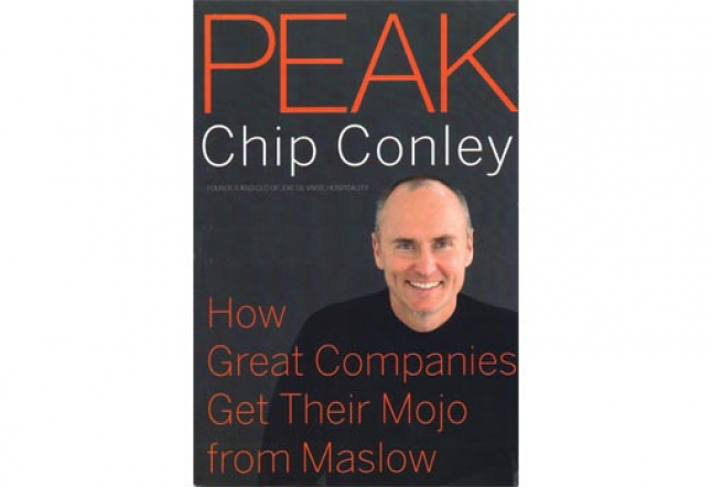 peak: how great companies get their mojo from maslow