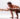 tittibhasana firefly hatha yoga pose