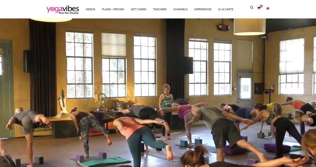 raise your vibration practice yoga anytime anywhere full yoga room with students open windows Online Yoga Classes