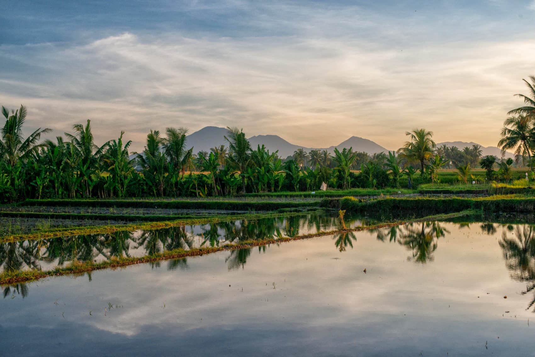 volcanoes bali rice fields Bamboo eco wellness retreat Dino Magnatta owner