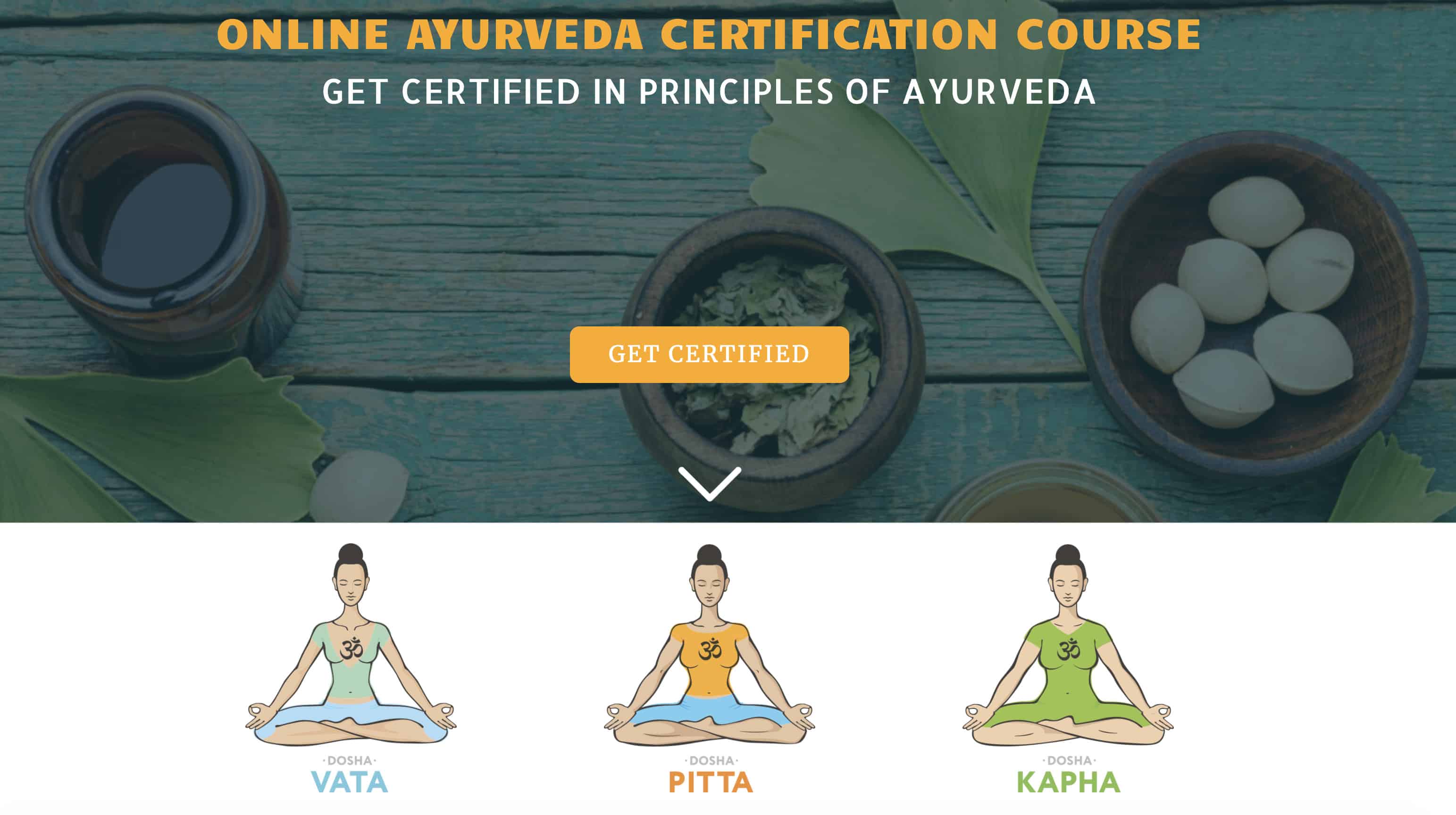 ayurveda siddhi yoga online certification 3 characters sitting on floor