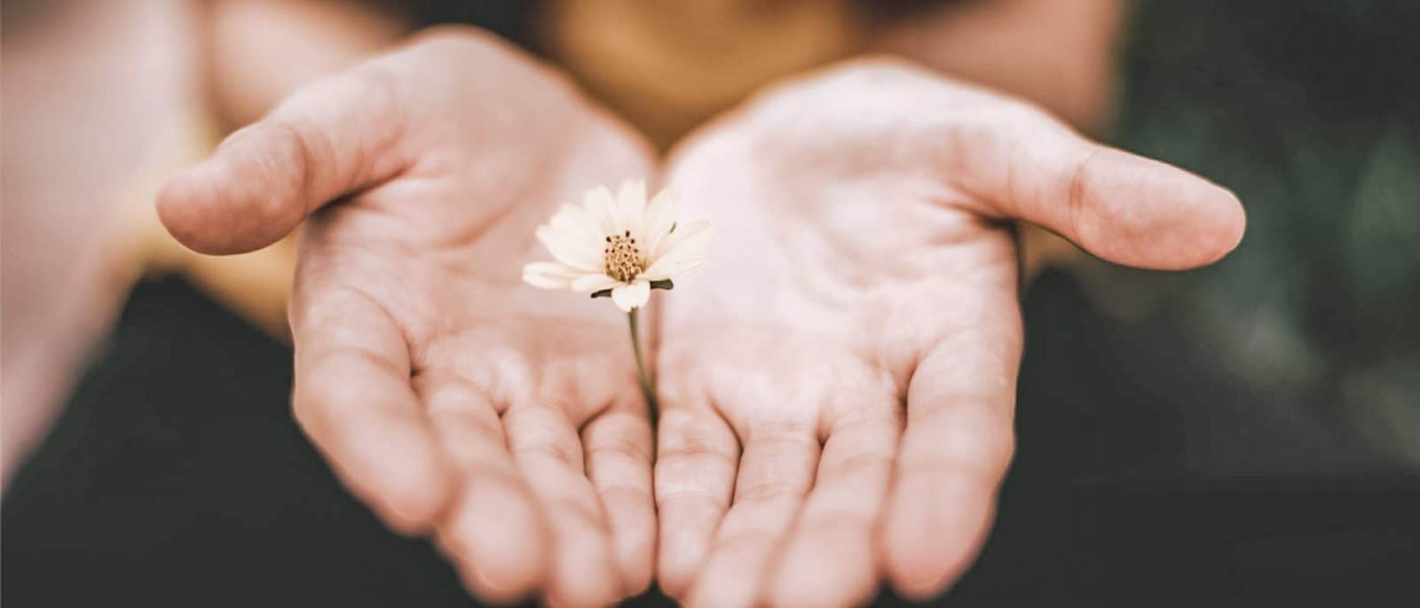 the essence of forgiveness