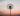 flower in sunset sky define equanimity definition buddhism what is symbol define in mean word balance def yoga equanimitous