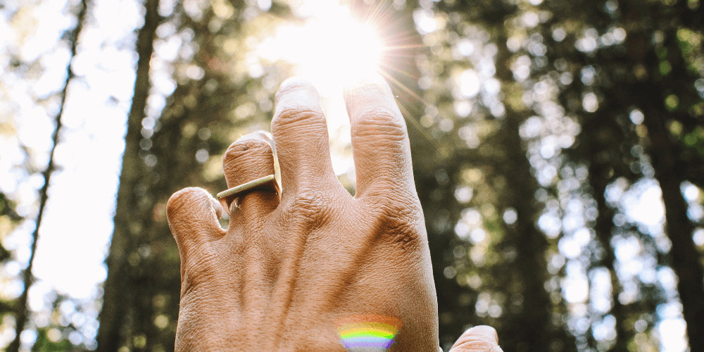 Hand facing the sun light in the forest

healing frequencies and Solfeggio Frequencies 417 hz 528 hz